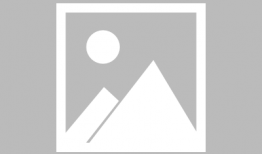 仙人掌视频,大自然的坚韧之花